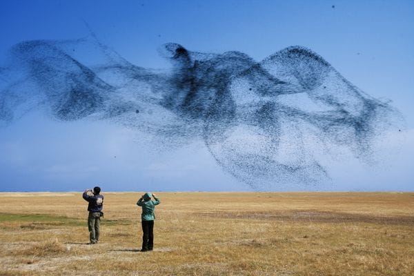 Particle Smoke Photoshop Brushes