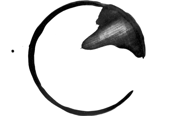 Black cup stain Black cup stain